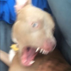 Meet your Posher, Kristine