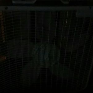 Meet your Posher, Mike