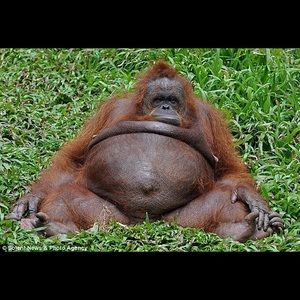 Meet your Posher, Robert