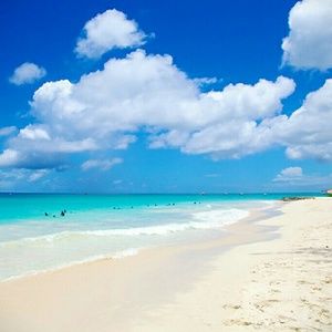 Meet your Posher, Marlee