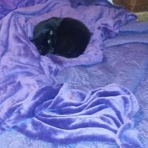 Meet your Posher, Scott