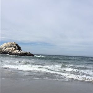 Meet your Posher, Rose