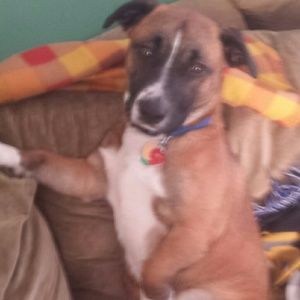 Meet your Posher, Andy