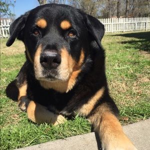 Meet your Posher, Amanda/anthony