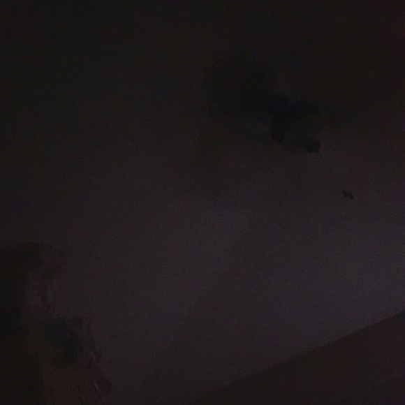 Meet your Posher, Holly