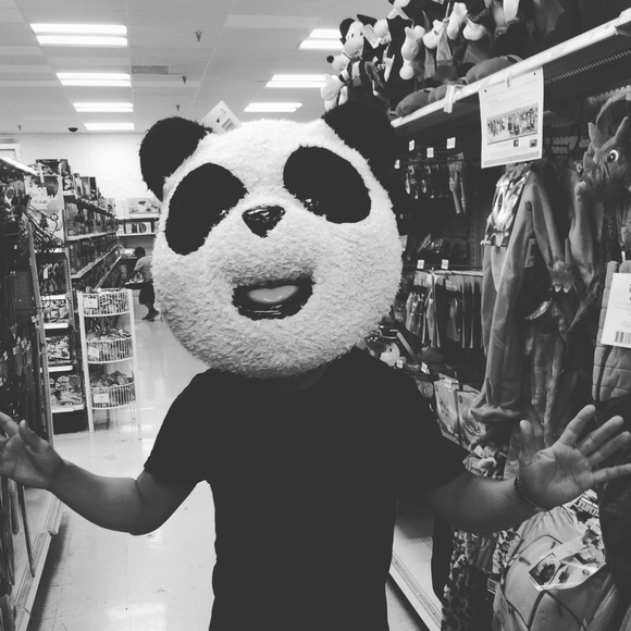 Meet your Posher, Cesar - Picture 5 of 6