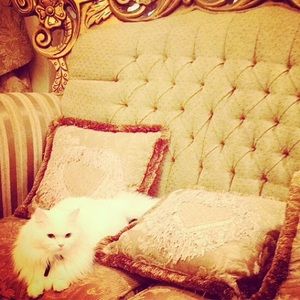 Meet your Posher, Amal