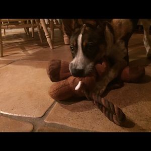 Meet your Posher, Chantal