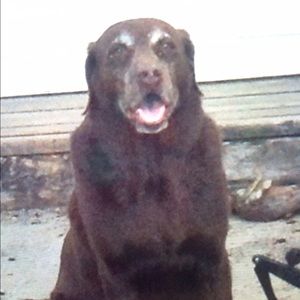 Meet your Posher, Connie