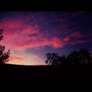 Meet your Posher, Teeanna