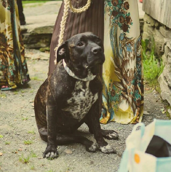 🐮 Hey everyone!!! 🐰 - Picture 3 of 8