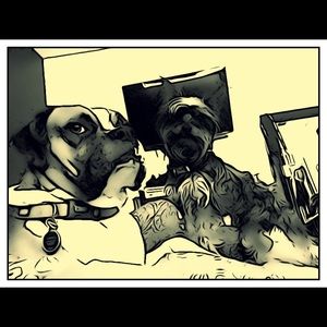 Meet your Posher, Sasha