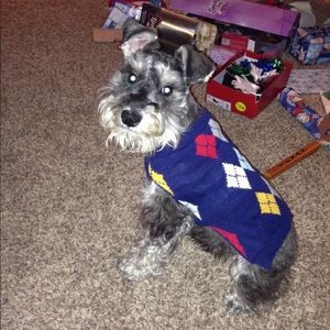 Meet your Posher, Marisa