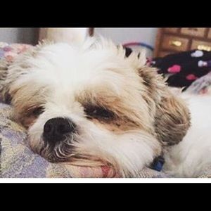 Meet your Posher, Bethany