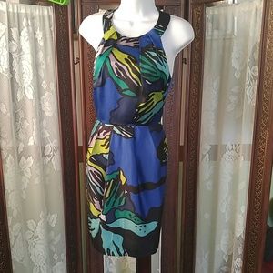 Blue print dress ๐