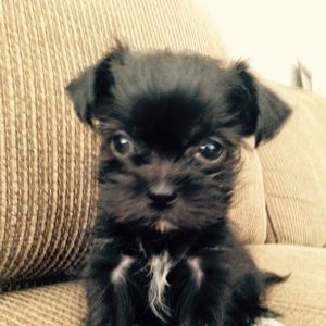 Meet your Posher, Ericka