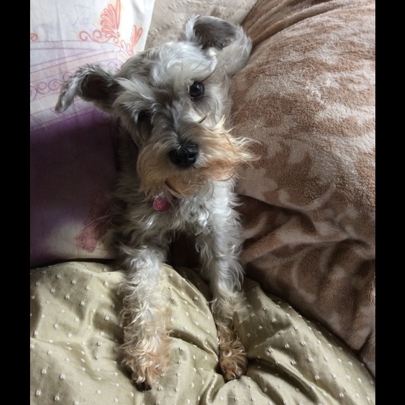 Meet your Posher, Kat - Picture 2 of 2