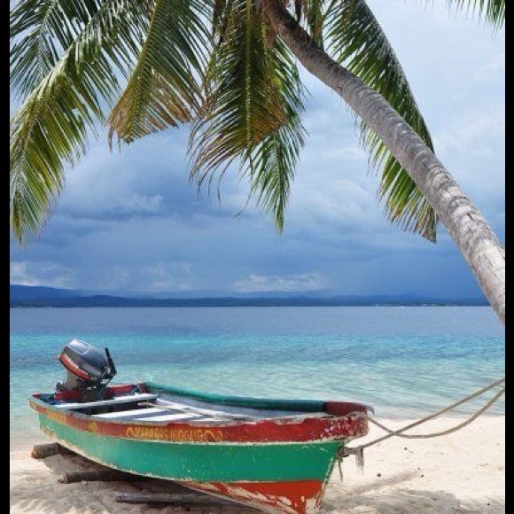 Meet your Seller - Picture 4 of 4