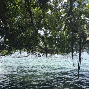 Meet your Posher, Carla