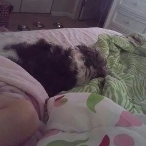 Meet your Posher, Sandy