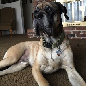 Meet your Posher, Cody