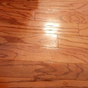 Meet your Posher, Marsha