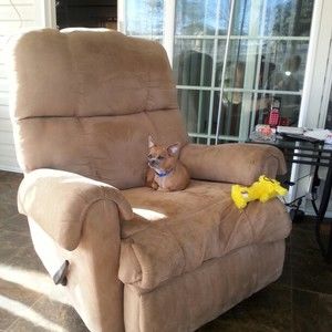 Meet your Posher, Faye