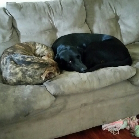 Meet your Posher, Kayla - Picture 2 of 2