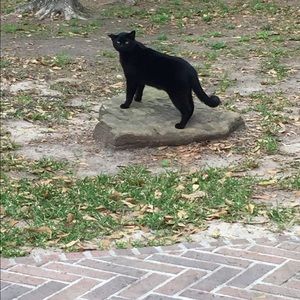 Meet your Posher, Allison