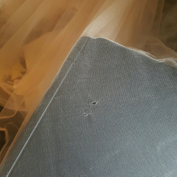 Terani Couture  Champagne Prom Dress - Picture 3 of 4