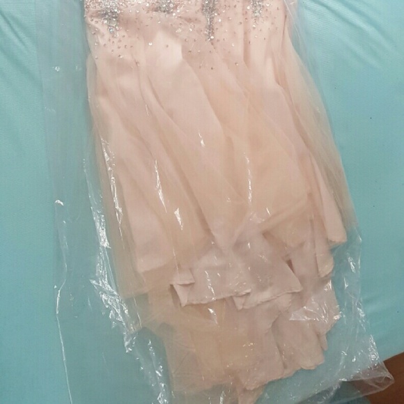 Terani Couture  Champagne Prom Dress - Picture 4 of 4