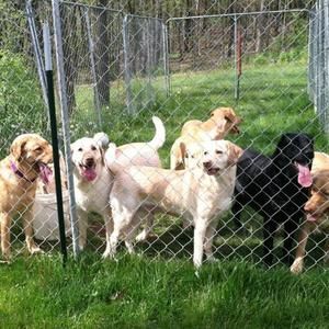 Meet your Posher, Dana