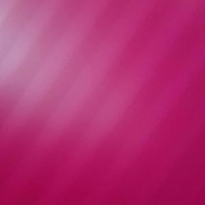 Meet your Posher, Lidia