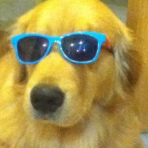 Meet your Posher, Johnna