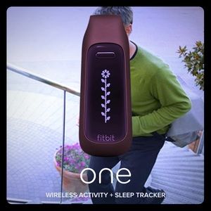 Fitbit ONE