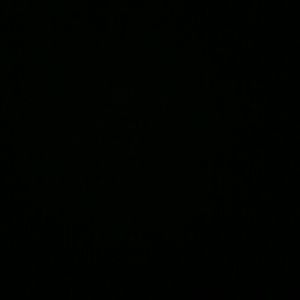 Meet your Posher, Candice