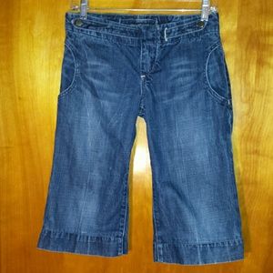 **Clearance** Citizens of humanity denim shorts