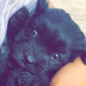 Meet your Posher, Victoria