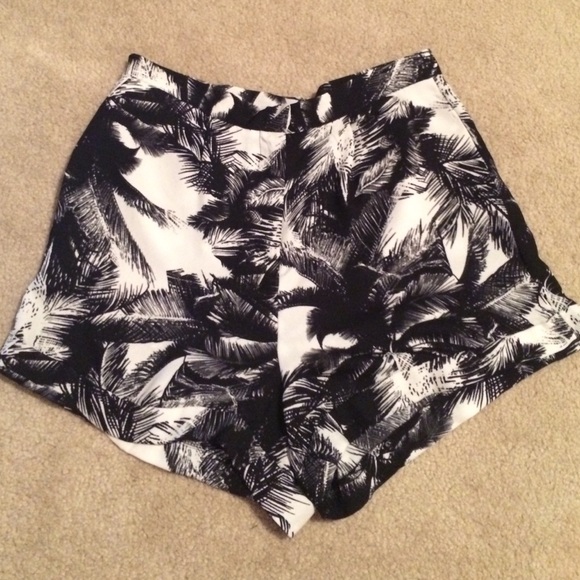 Printed Palm Tree Chiffon Shorts