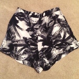 Printed Palm Tree Chiffon Shorts