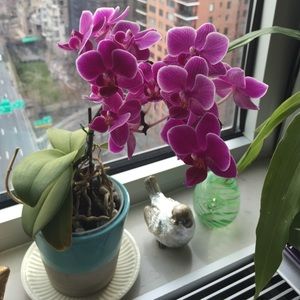 Meet your Posher, Barbara