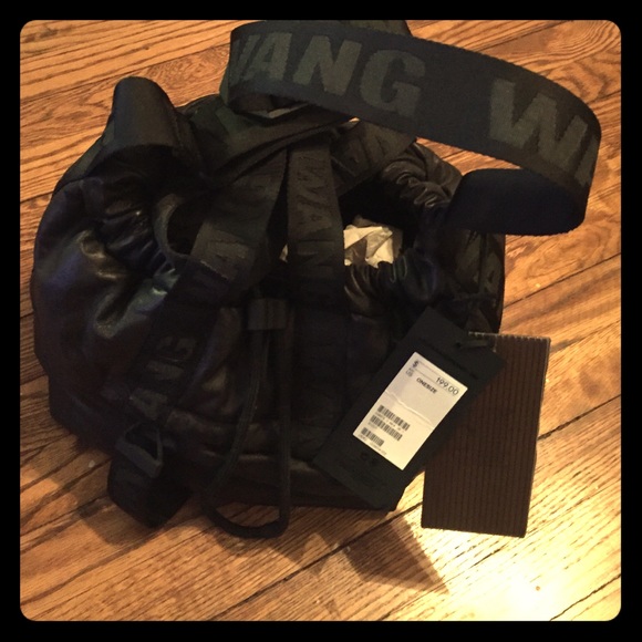 Alexander Wang Hm bag