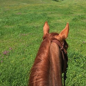 Meet your Posher, Caitlin