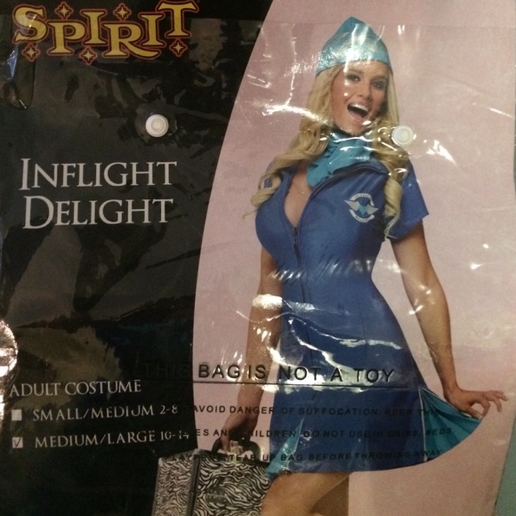 Flight attendance costume