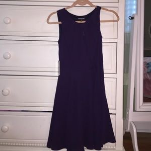 Express Purple Skater Dress