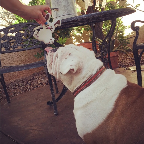 Easter Bully