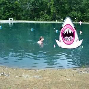 Meet your Posher, Brenda