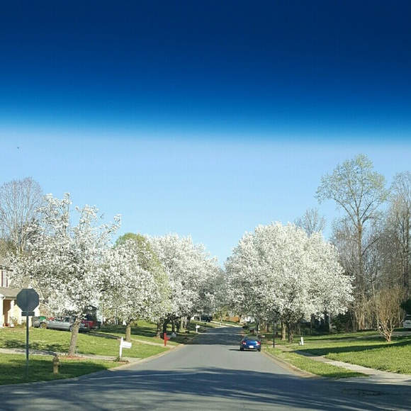 Meet your Posher, Katina