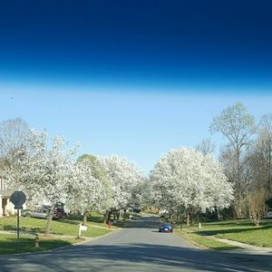 Meet your Posher, Katina