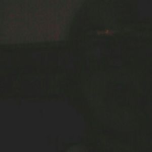 Meet your Posher, Sandy